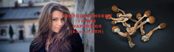 ECSTASY Верхний Тагил