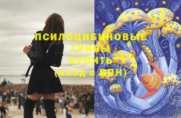 мдпв Верхнеуральск